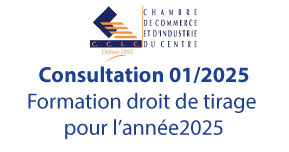 Consultation 01/ 2025